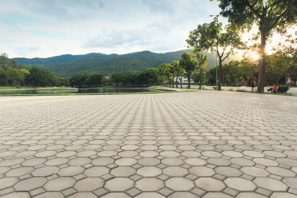 Best Best Driveway Pavers  in Union Springs, NY